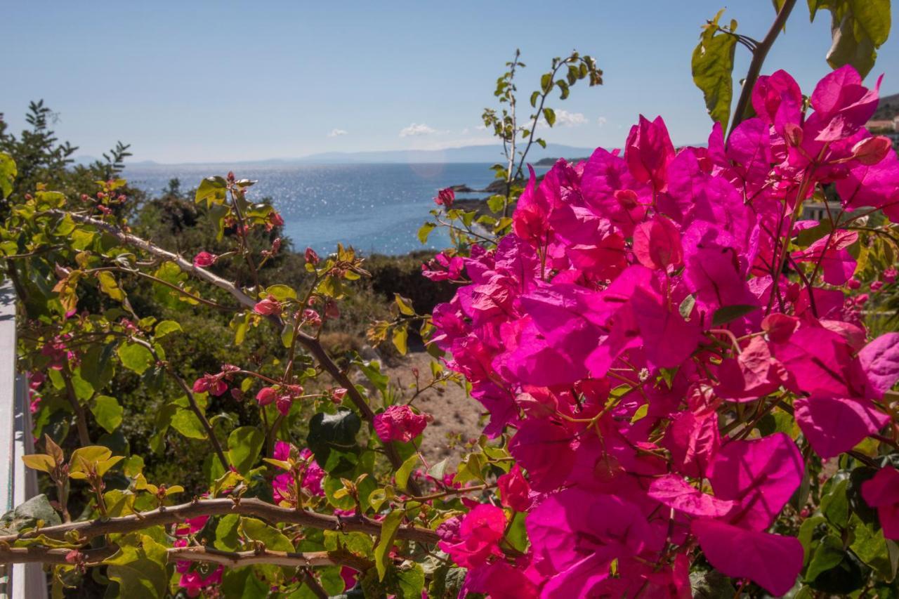 Sea View Villa 2 Skala  Eksteriør billede